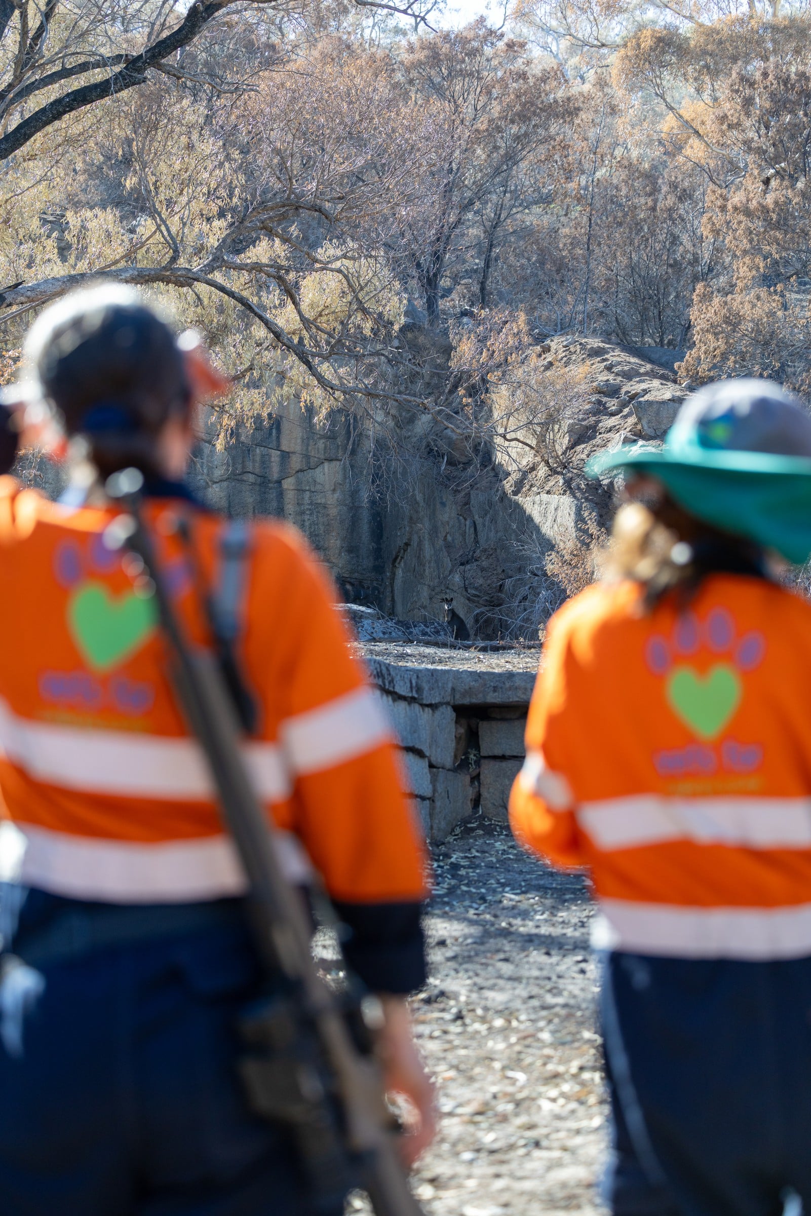 Two rescuers search a rocky fire-affected landscape.