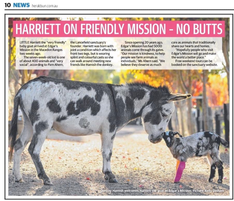 Herald Sun — Harriett · March 2023. Open to read the original clipping.